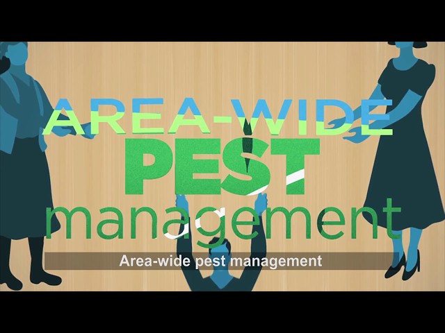 Area-wide Integrated Pest Management