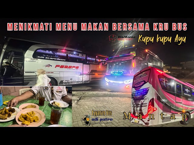 TRIP BERSAMA BUS KUPU KUPU AYU‼️LIBURAN AHIR TAHUN 2023