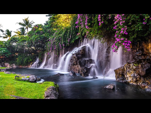 Relaxing Zen Music with Water Sounds • Peaceful Ambience for Spa, Yoga and Relaxation