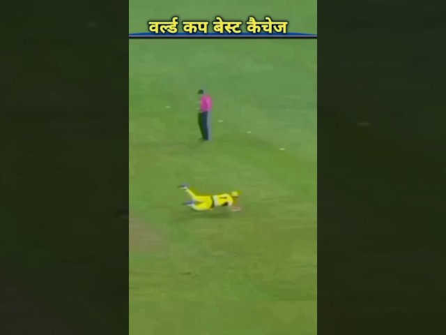 World Cup me pakde gaye Best Catches #shorts #popular #highlight #cricket #ytshorts#match#viral#bcci