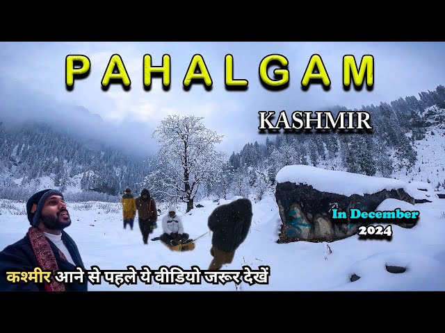 Pahalgam Kashmir | Kashmir Tour in December 2024 | Pahalgam Snowfall Today | Kashmir Trip | Pahalgam