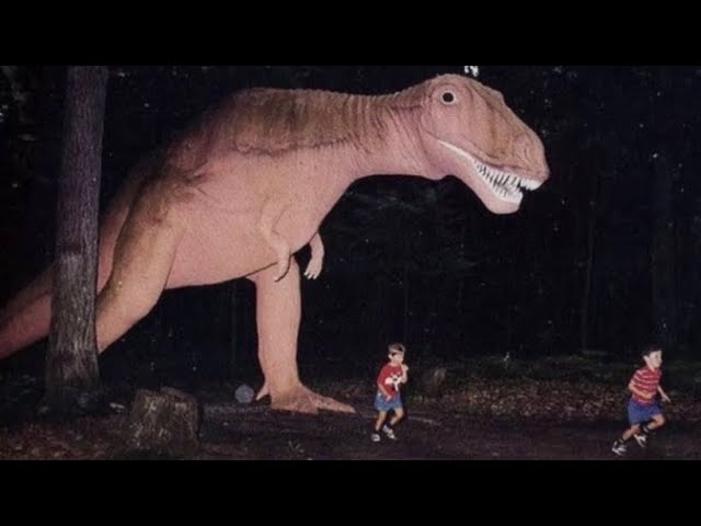 Top 5 Dinosaur