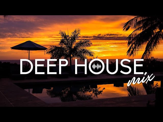 Mega Hits 2024 🌱 The Best Of Vocal Deep House Music Mix 2024 🌱 Summer Music Mix 2024 #331