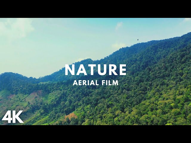 NATURE SCENERY AND MUSIC    DRONE FOOTAGE