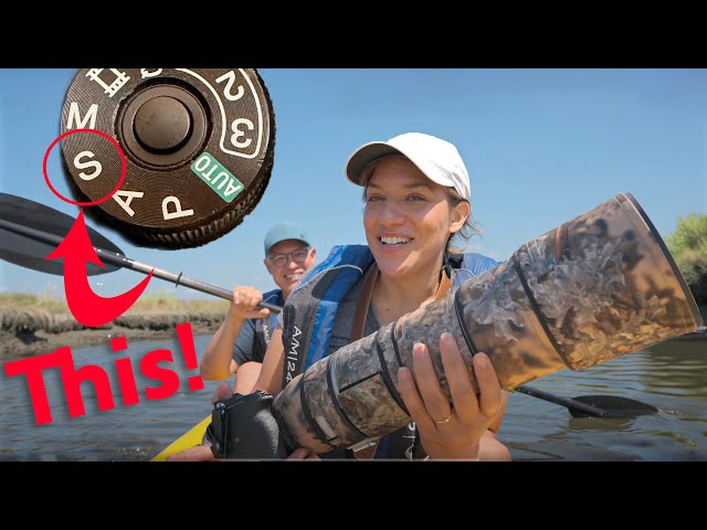 Wildlife Photography from a KAYAK! The best $200 you can spend