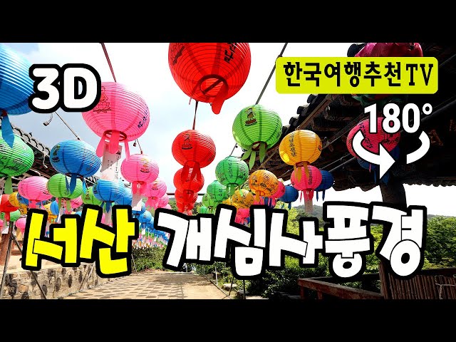 🔴 180° 3D VR 서산 개심사 - Seosan Gaesimsa Temple in Korea (with Clova Dubbing)