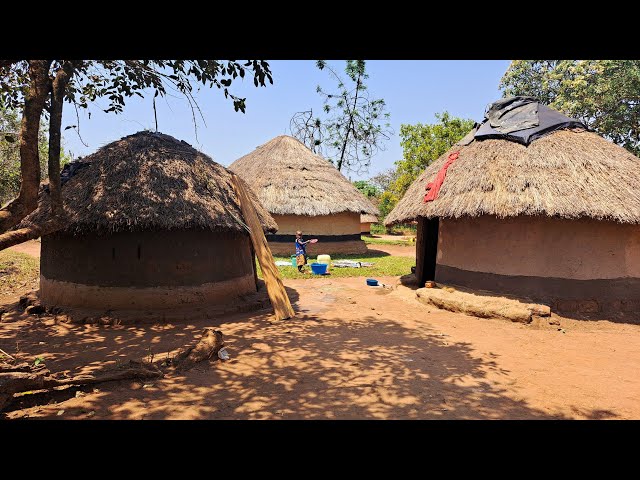 African Village Life in Northern Uganda🇺🇬