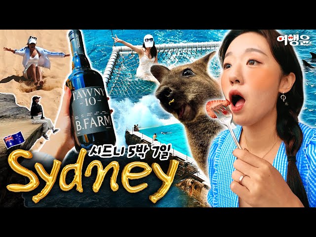 🇦🇺🦘 호주 시드니 5박7일 💰 총경비 300만원 | 🐬최고의 투어부터 ❌최악의 투어까지 | 🏨 5성급 호텔 화재 발생 사건 ㄷㄷ #호주여행 #시드니여행 #sydneytravel