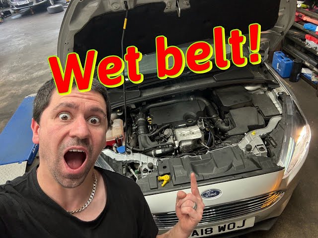 1L Ford Eco boost wet timing belt replacement ##FULL GUIDE##