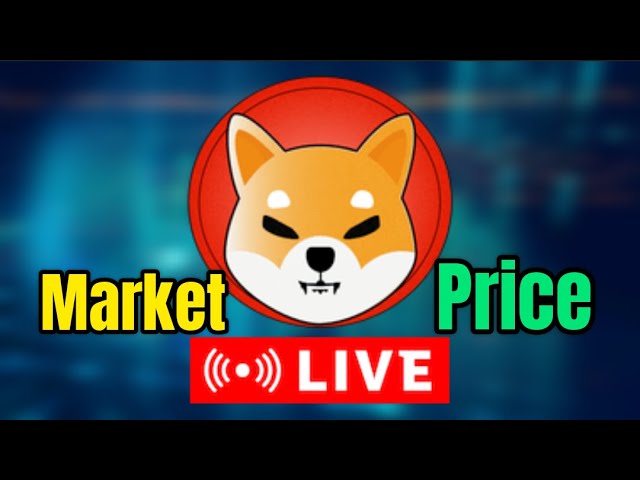 Shiba INU LIVE PRICE MARKET - EN VIVO