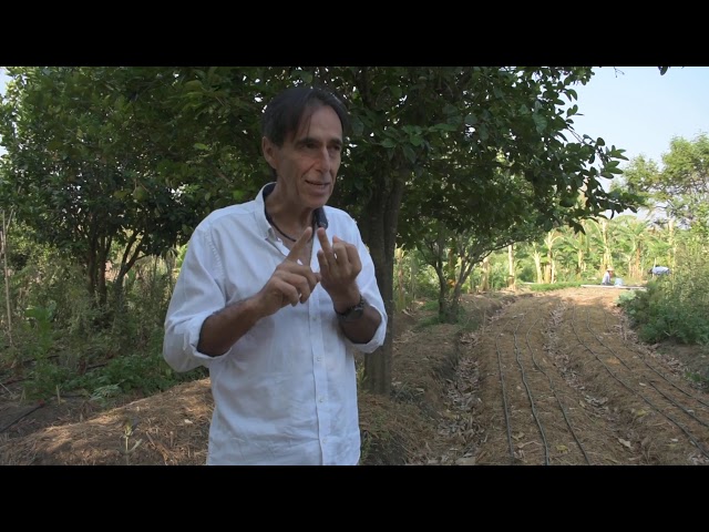 Agricultura Sintrópica. Pablo Ruiz en Tierra del Sol, Oaxaca