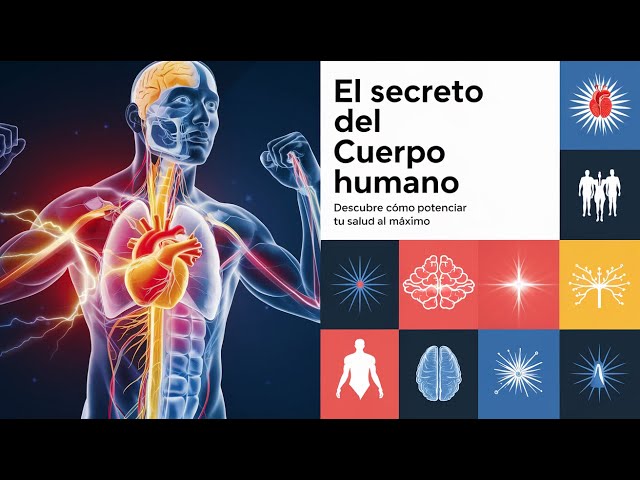 El Cuerpo Humano: Cómo Funciona y Cómo Potenciarlo al Máximo | Documental Épico