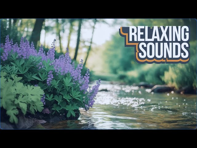 Relaxing Piano Music Ⅰ #calm music