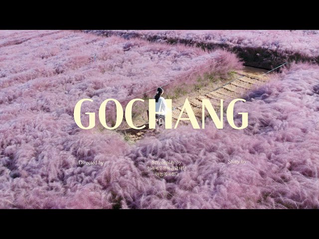 Destinations you will regret if you don't go in autumn #Pink Muhly #Autumn Maple #Gochang