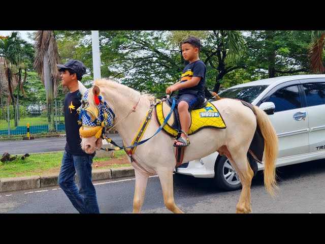 NAIK KUDA - KUDA DELMAN - LAGU DUA MATA SAYA - SATU SATU AKU SAYANG IBU - NAIK DELMAN ISTIMEWA