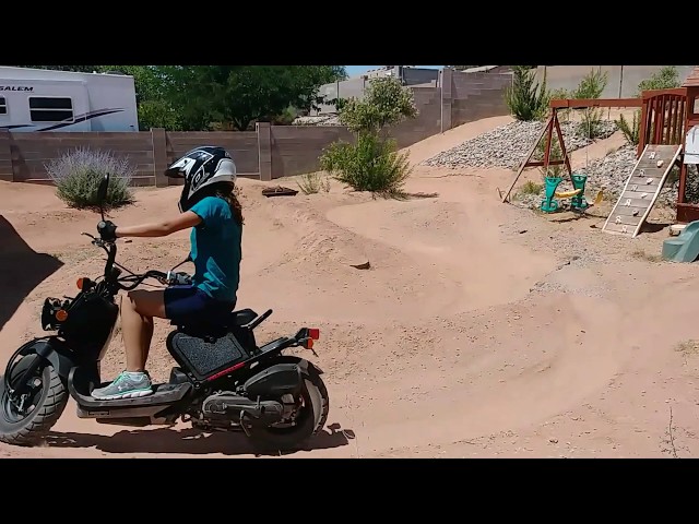 Honda Ruckus on backyard track