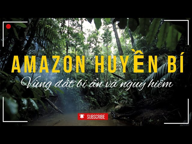 Rừng Amazon: Khu Rừng Lớn Nhất Thế Giới với Những Bí Ẩn Rùng Rợn, Nguy Hiểm Và Sự Thật Kinh Ngạc