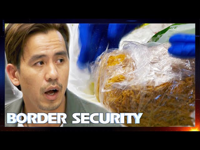 Suspicious Noodles Alarms Airport Customs 🍜🚨 | Border Security