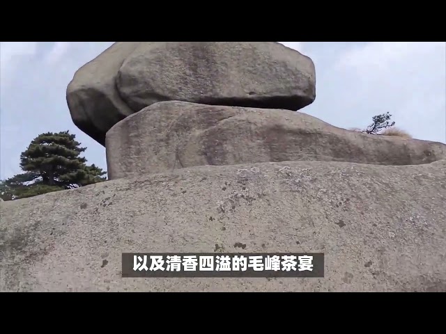 探秘妙道山：禅意古韵与生态奇观共融的旅行体验