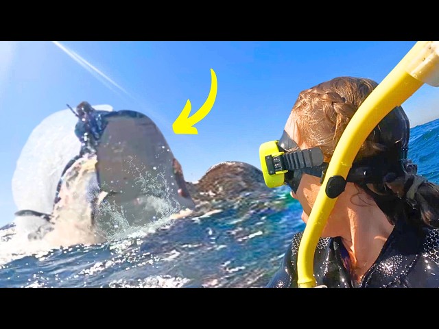 Swimming with Whales WE GOT HIT (CAUGHT ON CAMERA)