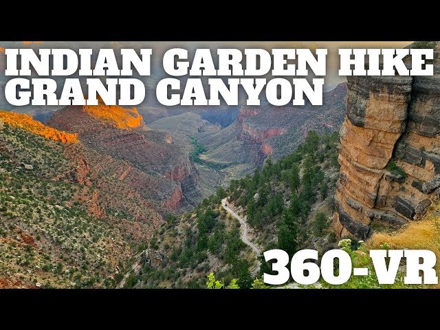 Hike Indian Garden (Grand Canyon) on the Bright Angel Trail - 360° VR Video