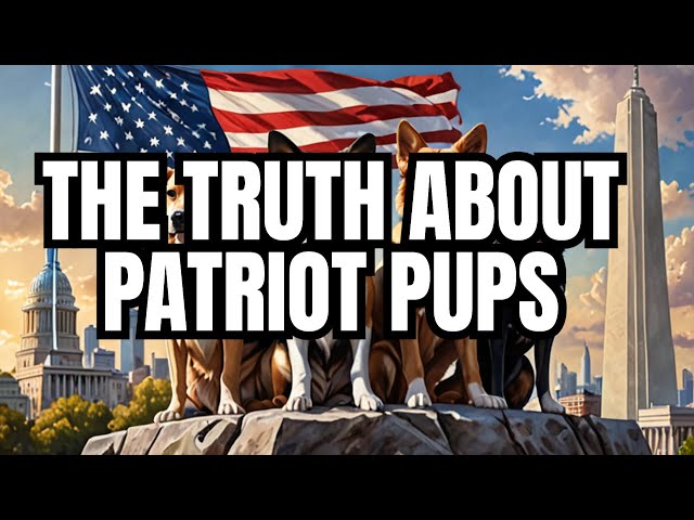 American-Made Patriot Pups Exposed