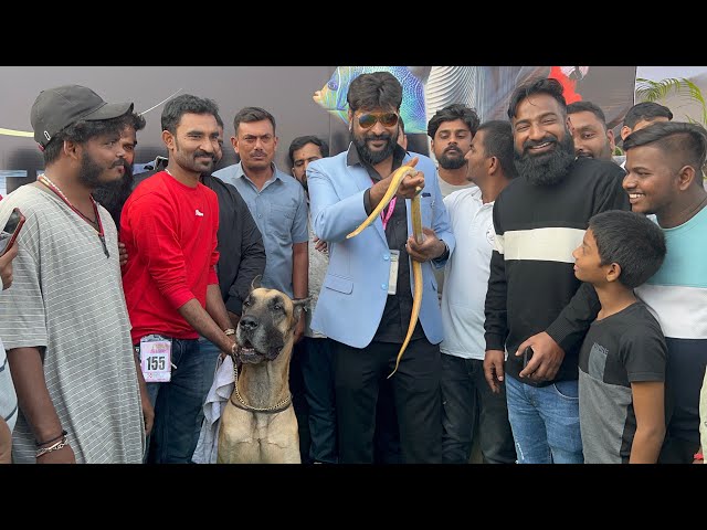 Telangana Canine Pet Carnival Show at Hyderabad | Chikoti Praveen Kumar Pet Show-Hyderabad Activitie