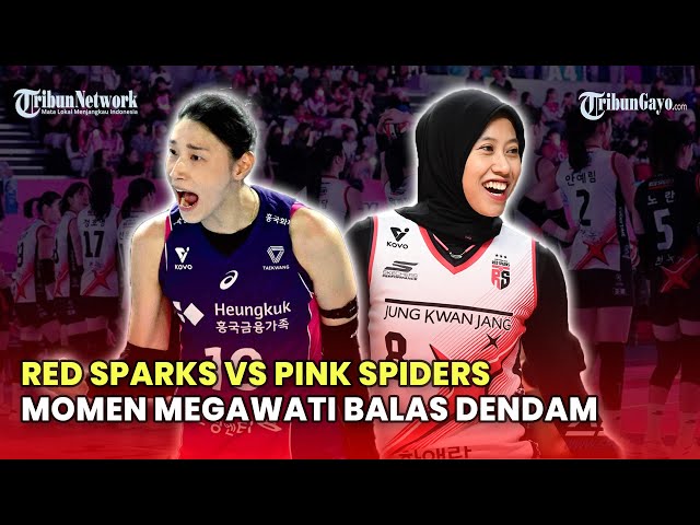 🔴LIVE JADWAL LIGA VOLI KOREA HARI INI: RED SPARKS VS PINK SPIDERS, MOMEN MEGAWATI BALAS DENDAM