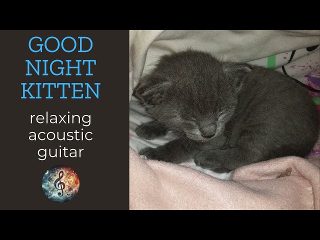 🎵 "GOOD NIGHT KITTEN" | relaxing acoustic guitar music for 2025