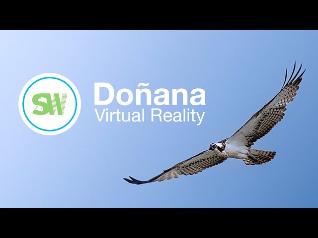 Doñana - Sounding Wild VR & Spatial Audio Experience