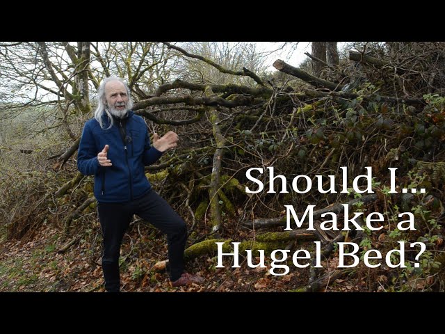 Should I.... make a hugel (hugelkultur) grow bed in my vegetable garden?