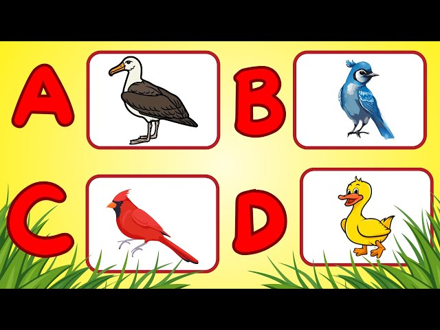 Learn [NEW] ABC Birds Names | Learn ABCD | Educational Video For Kids and Toddlers