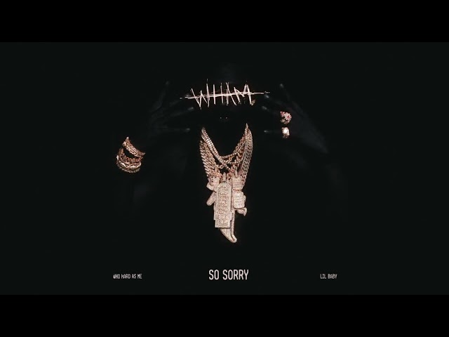 Lil Baby - So Sorry (Official Visualizer)