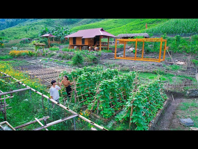 Aquaculture process - harvesting, selling clean products, gardening at SANG VY Green Farm