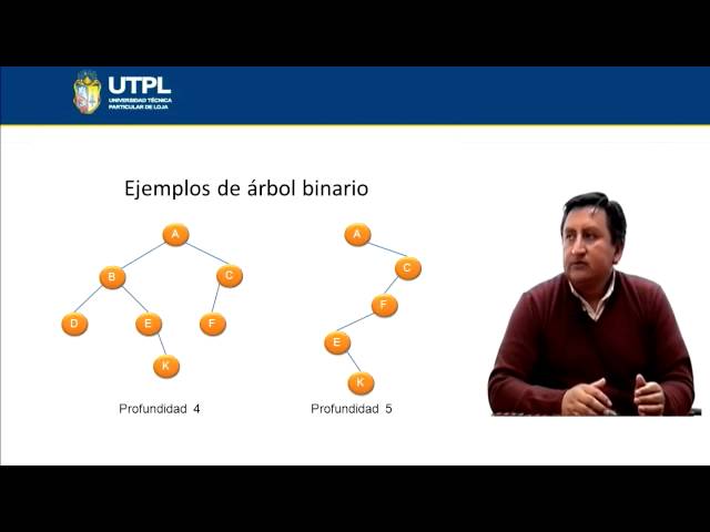 UTPL ÁRBOLES [(INFORMÁTICA)(ESTRUCTURA DE DATOS)]