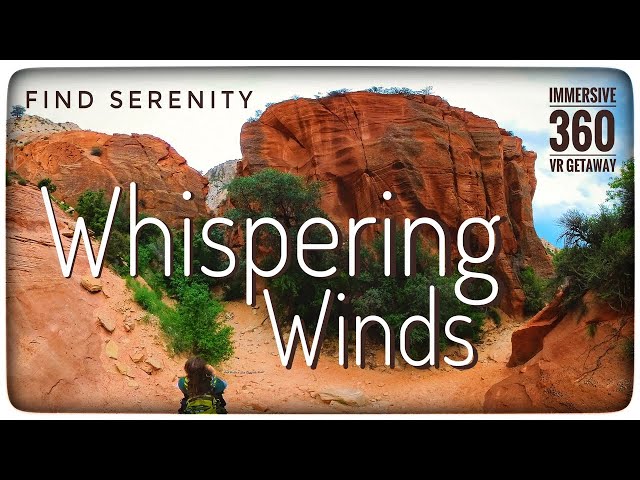 Whispering Winds 🌬️💨🌬️ A 360° Journey of Peace