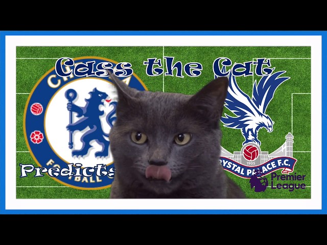 Chelsea vs Crystal Palace Predictions (Cass the Cat Predicts)