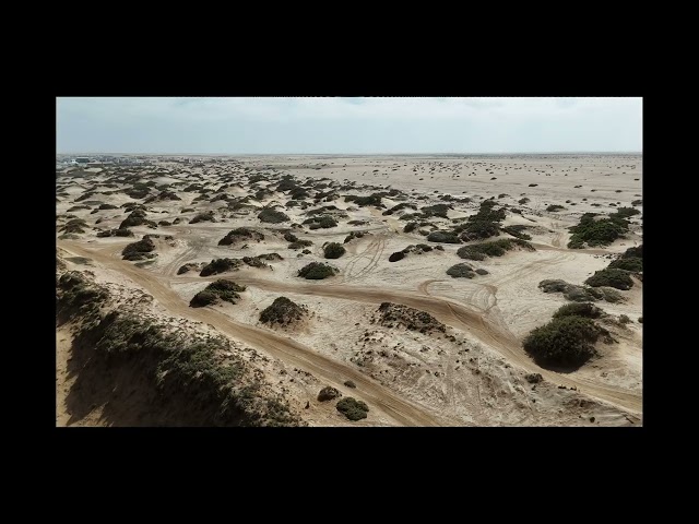 Solitude south of Henties, a coastal town in the desert