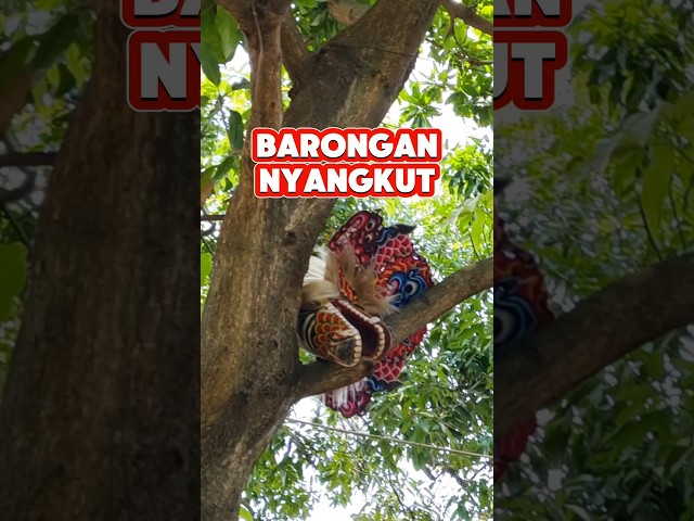 kok bisa barongan nyangkut - di like dan subscribe ya gaes #barongan #shorts #shortsjaranan