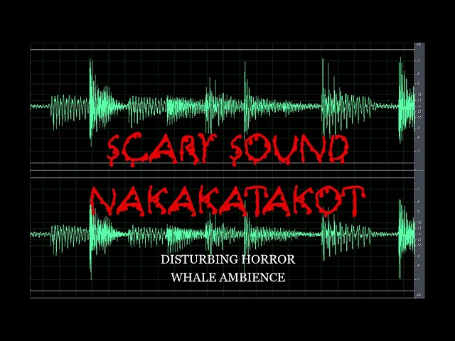 Scary Sound | Disturbing Horror Whale Ambience | Nakakatakot