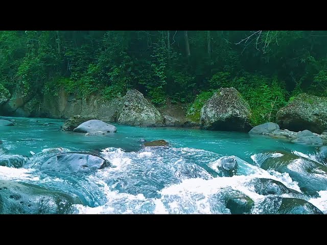 Refreshing River Sounds of Bukit Menoreh: Nature’s Therapy for Deep Sleep