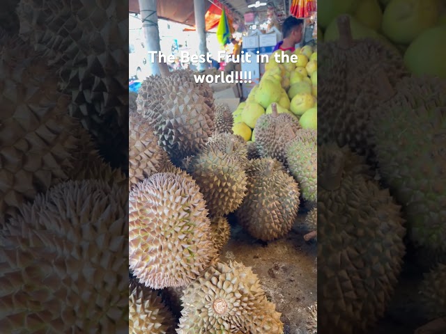 #trendingtoday #durian  #philippinesisland  #foryou  #trendingshorts