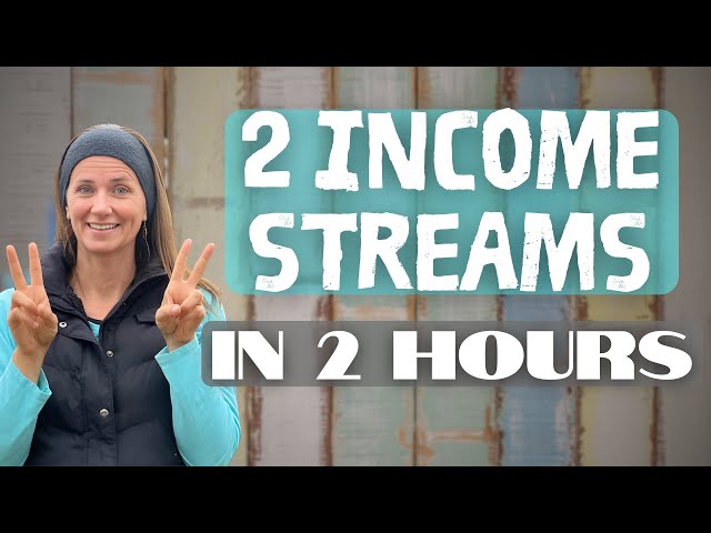 Work Smarter, Not Harder: Build 2 Income Streams with Minimal Time!