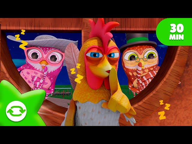 The Animals Go Sh! on REPEAT 30 minutes 🌟 | more Sing Along | Zenon the Farmer