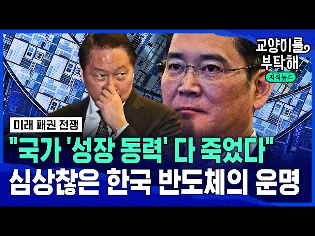 [지식뉴스] "한국, 성장 동력 다 죽었다"...심상찮은 대한민국 반도체의 운명 (ft.김태유 교수, 김창욱 컨설턴트) / 교양이를 부탁해 @sbs_explained