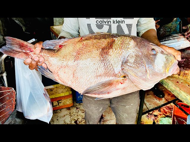 Giant Kuruvila Fish Cutting Live In Fish Market | Amazing Skills