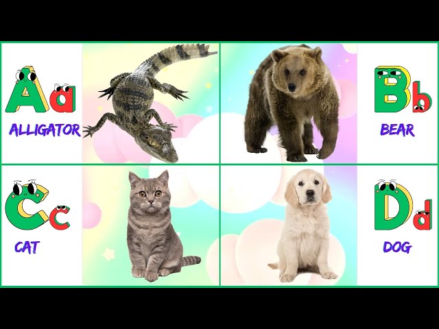 ABC Phonics Song - Learn the Alphabet with Animals | Songs for Kids