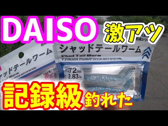 Japan record class with DAISO's new product lure