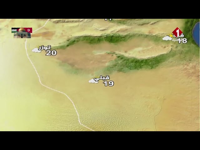 النشرة الجوية ليوم 11 - 02 - 2025