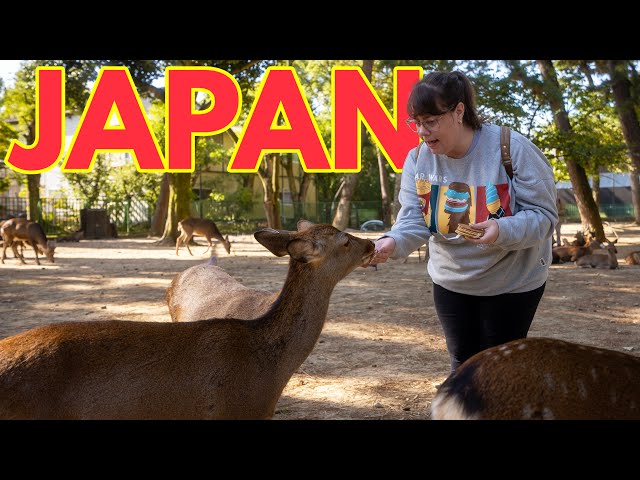 Don’t Miss This In Japan: 48 Amazing Hours In Kyoto & Nara!